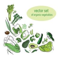 set of green fresh vegetables and fruits, cabbage, broccoli, asparagus, artichoke, onion, kiwi, zucchini, parsley, drawn in line art style, isolated on a white background, vector illustration