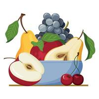 Vector illustration of a bowl of fruit isolated on a white background. Apples, pears, grapes, cherries.