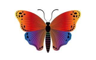 decorativo como un eslogan de mariposa con una colorida ilustración de plantilla de logotipo de mariposa. diseño vectorial para estampados de moda, carteles y tarjetas, aislado en fondo blanco vector