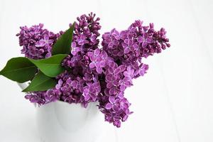 Bouquet of lilac flowers photo