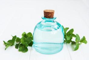 natural mint essential oil photo