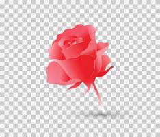 rosa rosa realista con vector premium de sombra