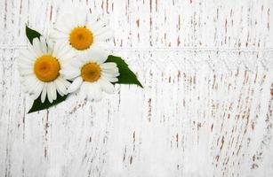 flores de manzanilla y cinta foto