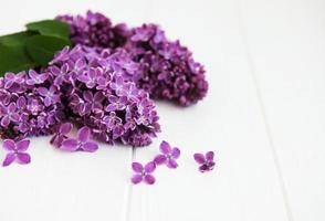 Lilac flowers on a table photo