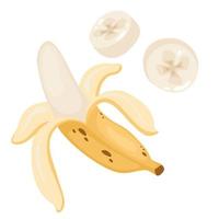 plátanos de frutas jugosas para un estilo de vida saludable. plátano, fruta entera y mitad. ilustración vectorial en estilo de dibujos animados en una capa aislada para cualquier diseño vector