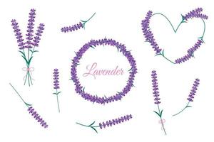 Lavender flowers isolated on white background. Vector set with purple Lavender blossom, bouquet and floral frames. Round and heart borders