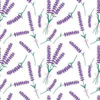 Lavender flowers seamless pattern. Vector endless white background with purple Lavender blossom. Spring design with floral elements
