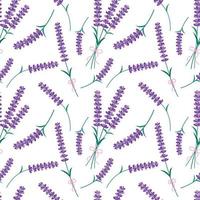 Lavender flowers seamless pattern. Vector endless white background with purple Lavender blossom. Spring design with floral elements