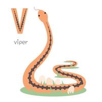 Animals alphabet. V for viper vector