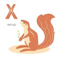 alfabeto de animales. x por xero vector