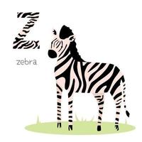 Animals alphabet. Z for zebra vector