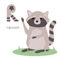 Animals alphabet. R for raccoon vector