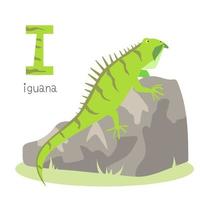 Animals alphabet. I for iguana vector