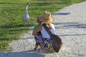 Sochi, Russia-September 25, 2017- woman in a straw hat with a small child looking at swans photo
