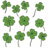 clover leaf simplicity drawing on white background. vector