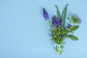 Beautiful small blue garden and wild flowers. photo