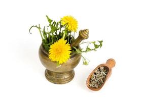 Medicinal plant in mortar. Alternative medicine. photo