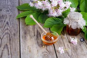 Fragrant chestnut honey in jar with blossom flowers. photo