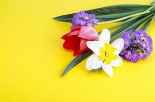 Small bouquet of spring garden flowers on bright background. photo