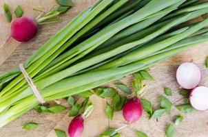 Fresh green onions, red radish on cutting board. photo