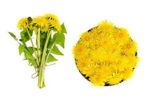 Fresh yellow dandelions in wooden bowl, top view. photo