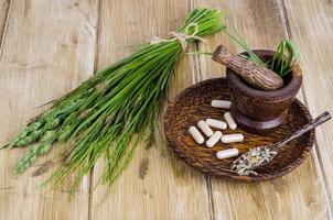 Herbal medical pills, ethnoscience. Studio Photo