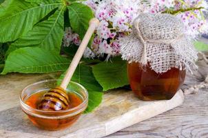 Fragrant chestnut honey in jar with blossom flowers. photo