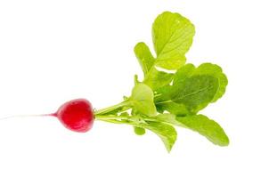 One fresh red radish with green leaves isolated on white background. photo