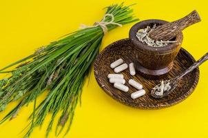 Herbal medical pills, ethnoscience. Studio Photo