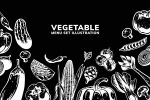 vegetable illustration for element design vector