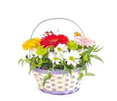 Basket with beautiful flowers isolated on white background photo