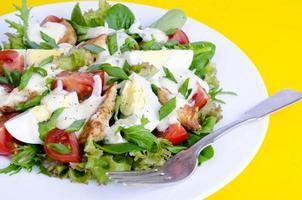 Salad of lettuce, egg, chicken pieces, mayonnaise on white plate on yellow background photo