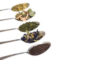 Leaves of different varieties of tea in spoons photo