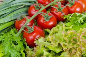 fondo vegetal, lechuga, tomate y cebolla verde. foto