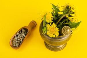 Medicinal plant in mortar. Alternative medicine. photo