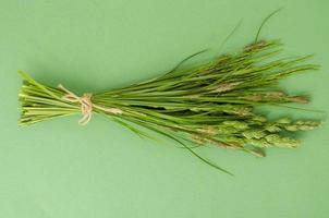 Bunch of wild herbs on bright background. photo