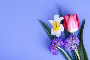 Small bouquet of spring garden flowers on bright background. photo