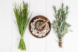 Herbal medical pills, ethnoscience. Studio Photo