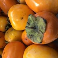 Macro photo persimon fruit. Stock photo asian fruits pesimon
