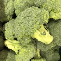 Macro photo green broccoli. Stock photo fresh green vitamin broccoli