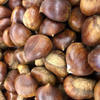 Macro photoo chestnut. Stock photo food chestnut background