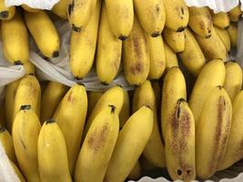 plátanos macro foto. stock photo fondo de banan de frutas tropicales amarillas foto