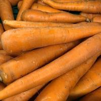 Macro photo orange carrots. Stock photo root vegetable carrot background