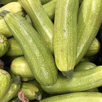 Macro photo zucchini. Stock photo zucchini background