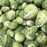 Macro photo cabage. Stock photo mini vegetable cabage