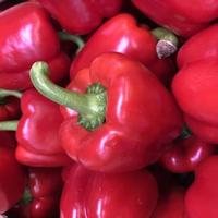 Macro photo bell peppers. Stock photo paprica vegetable bell peppers background