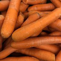 Macro photo orange carrots. Stock photo root vegetable carrot background