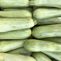 Macro photo zucchini. Stock photo white zucchini vegetable