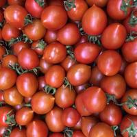 Macro photo red tomatoes. Stock photo fresh vegetables red tomato background