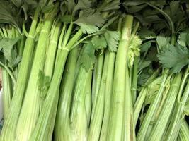 Macro photo celery. Stock photo green fresh celery